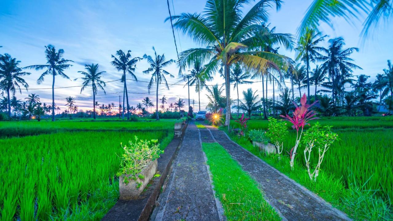 乌布Maruan Sari公寓 外观 照片